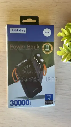 Power Bank With Inbuilt Cables 30000 Mah