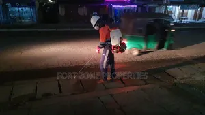 The Whole Ghana Fumigation Services With Cleantex