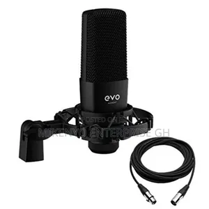 Audient Sr1 Large-Diaphragm Condenser Microphone.