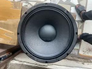 RCF Naked Speaker 15”