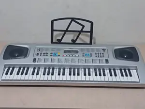 61 Keys Electronic Keyboard or Piano