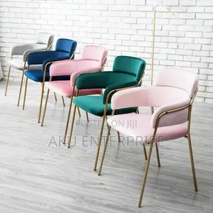 Restaurant Colorful Dining Chair Dining Chair