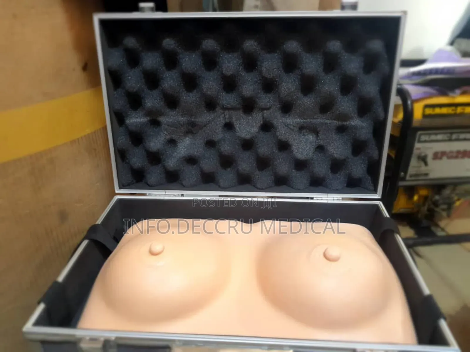 Breast (Model)