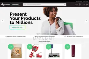 Professional E-commerce Store Web Design Service