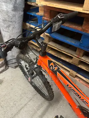 24-Inch Verve Edgar Mountain Bike