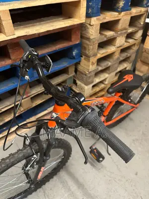 24-Inch Verve Edgar Mountain Bike