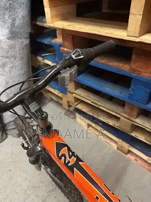 24-Inch Verve Edgar Mountain Bike