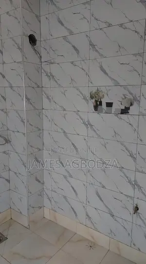 Floor and Wall Tiles Master