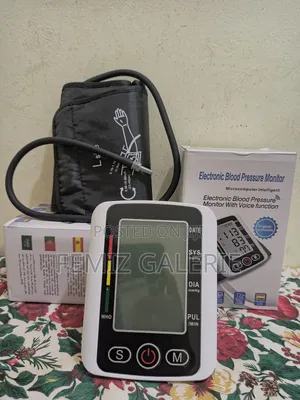 Electronic Blood Pressure Monitor