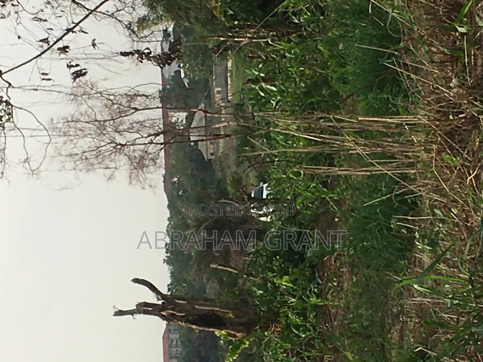 Plot of Land for Sale at Ejisu Boankra