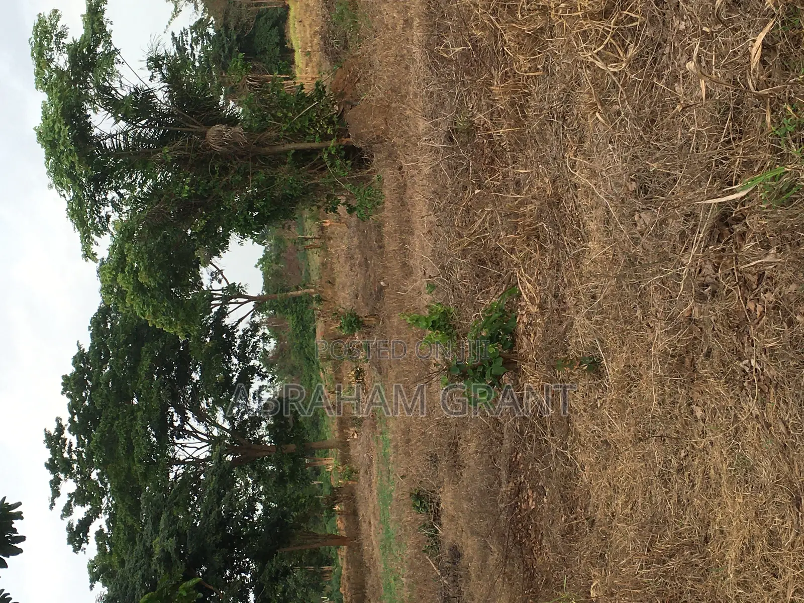 Plot of Land for Sale at Ejisu Boankra