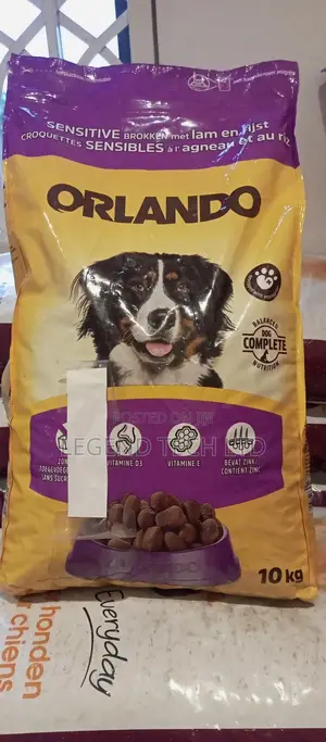 Orlando Dogs And Cats Food Dog
