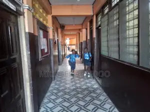 Teach; Science, Pre-tech, Maths, Akuapem Twi And English Language