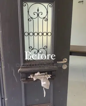 Professional Door Cleaning
