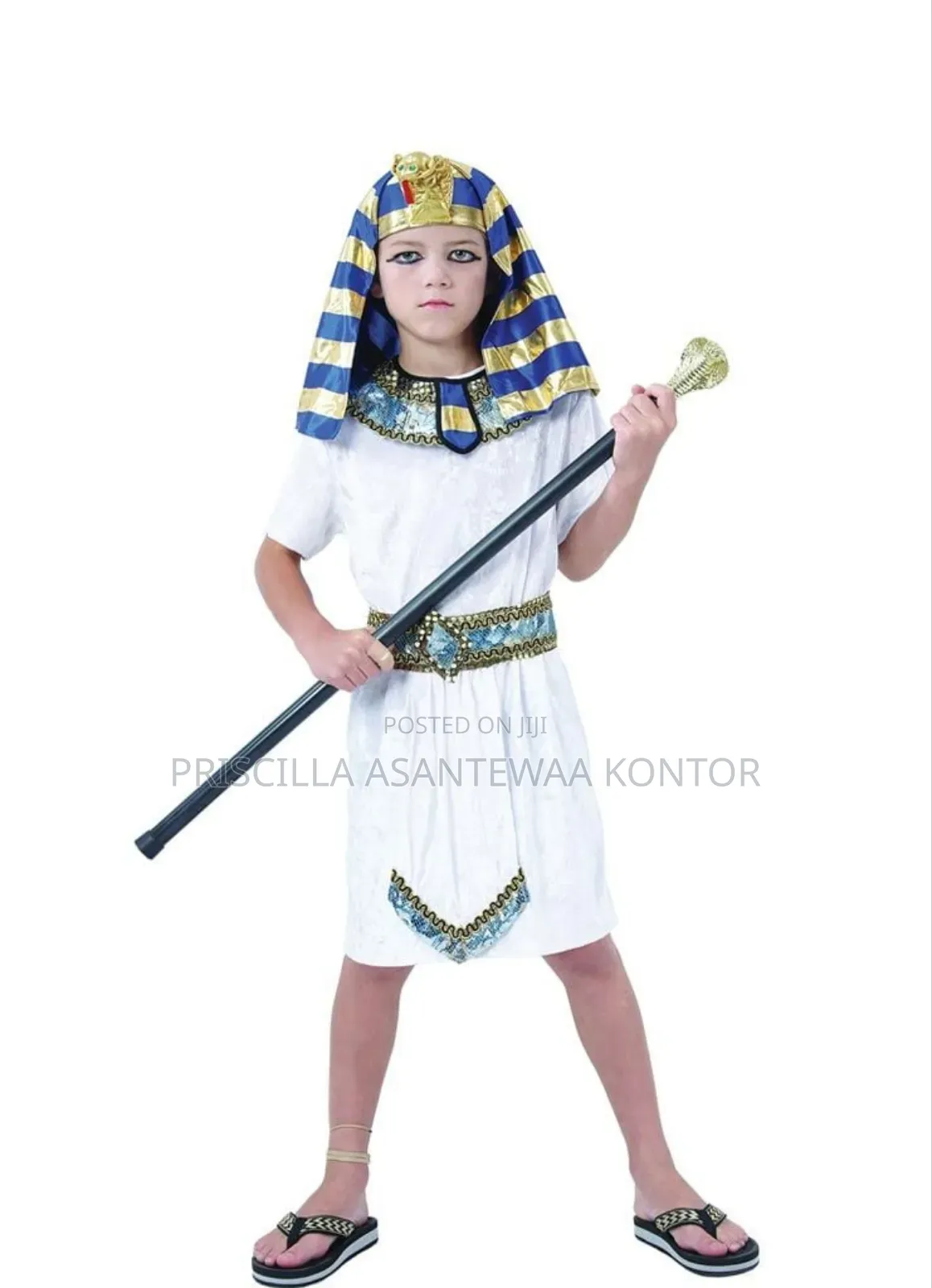 Egyptian Pharaoh Costumes for Au Day