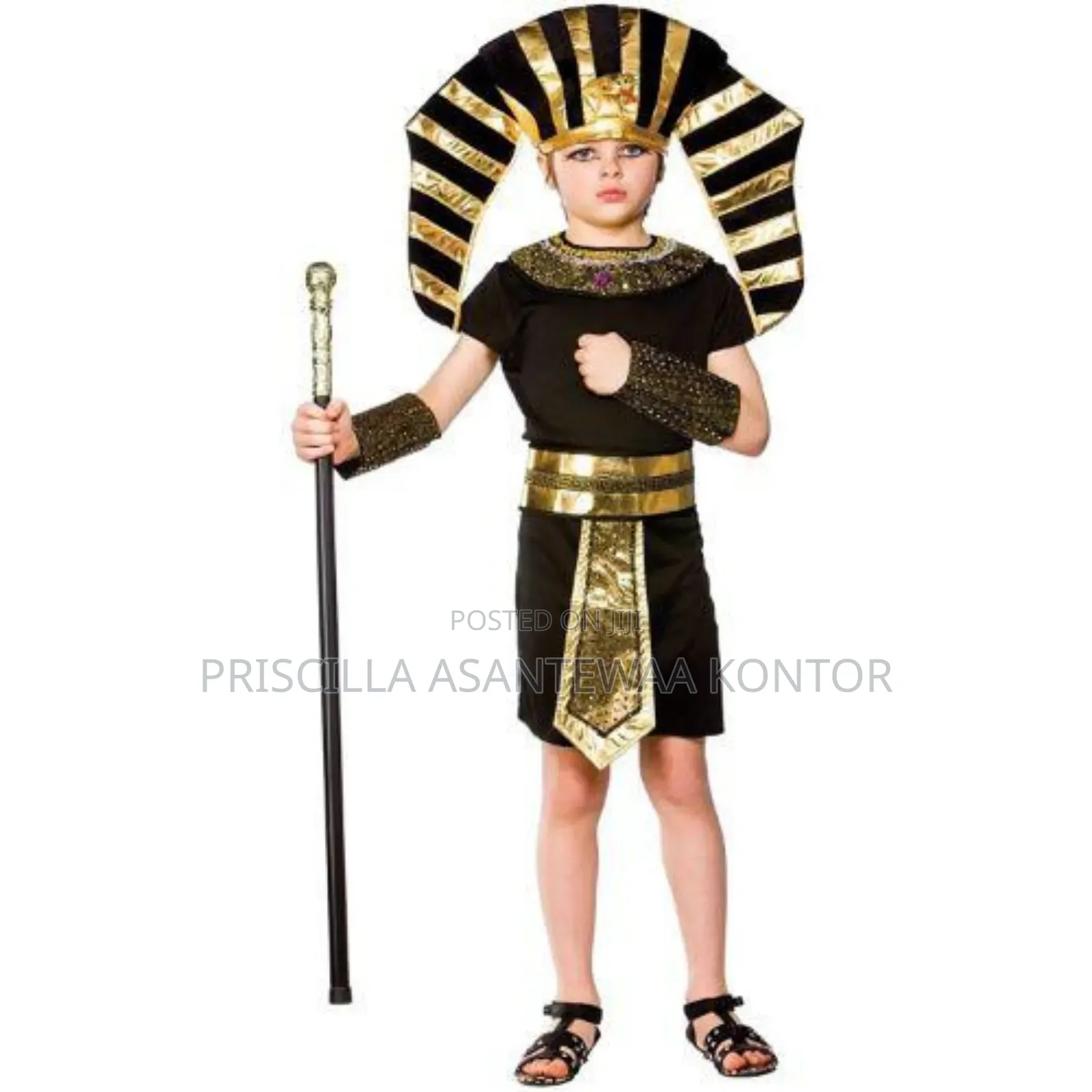 Egyptian Pharaoh Costumes for Au Day
