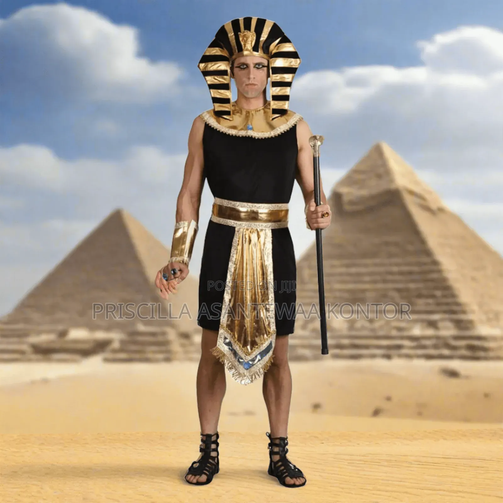 Egyptian Pharaoh Costumes for Au Day