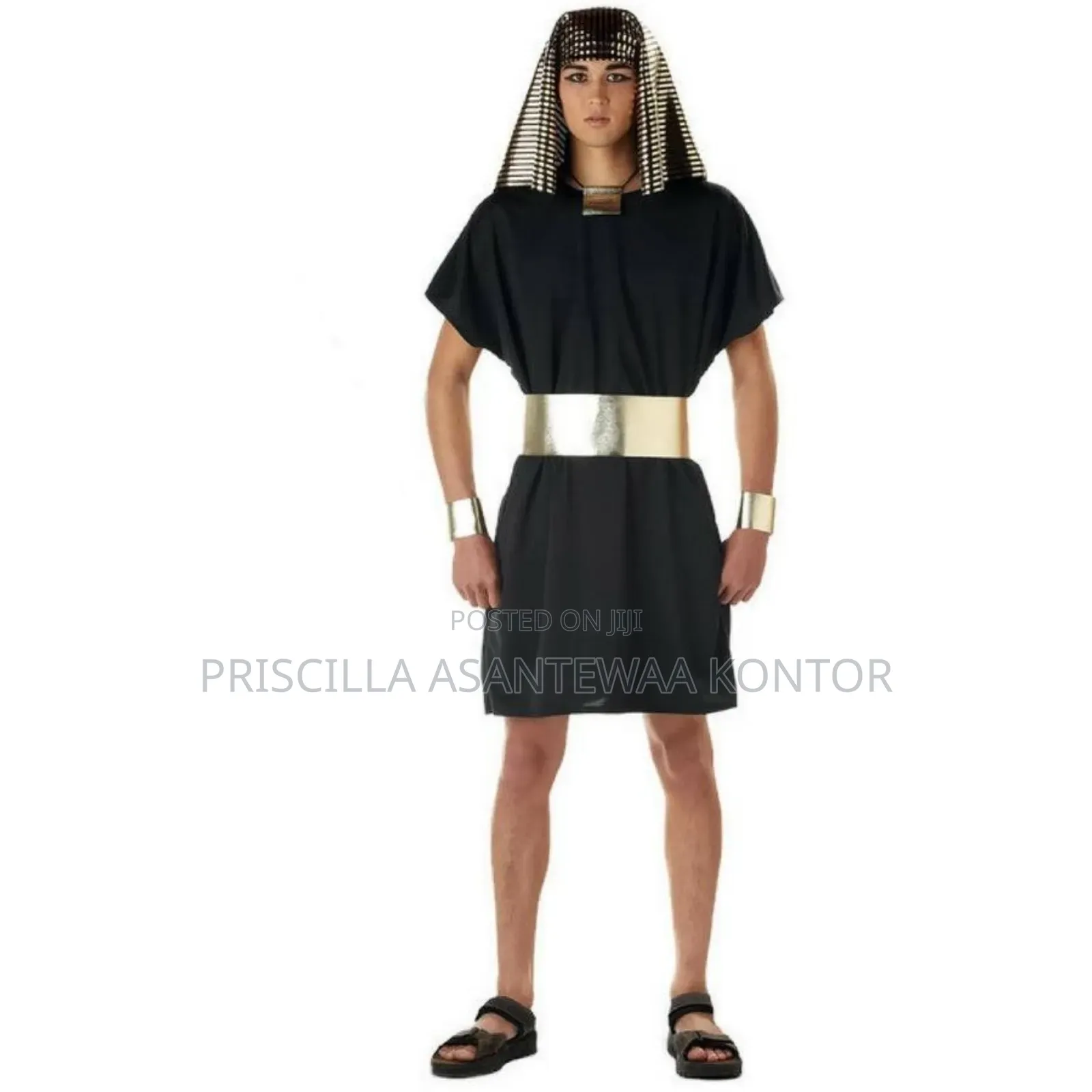Egyptian Pharaoh Costumes for Au Day