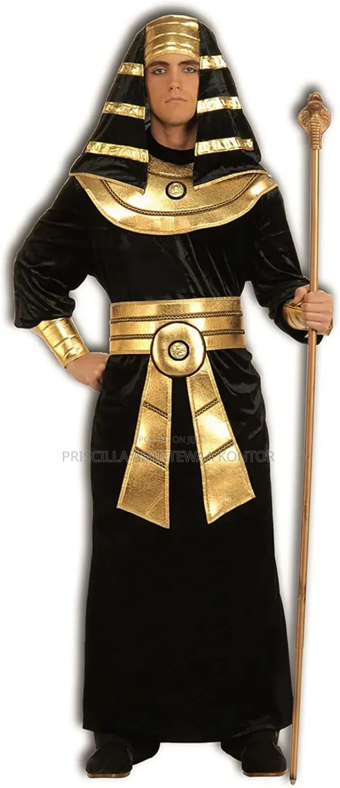 Egyptian Pharaoh Costumes for Au Day