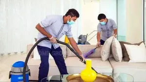 Cleaning Professor
