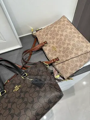 Ladys Chic Bag