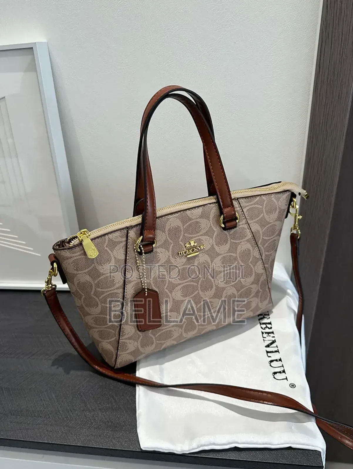 Ladys Chic Bag
