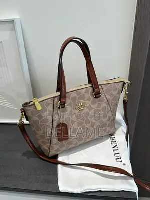 Ladys Chic Bag