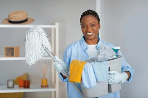 Home + Corporate Cleaners