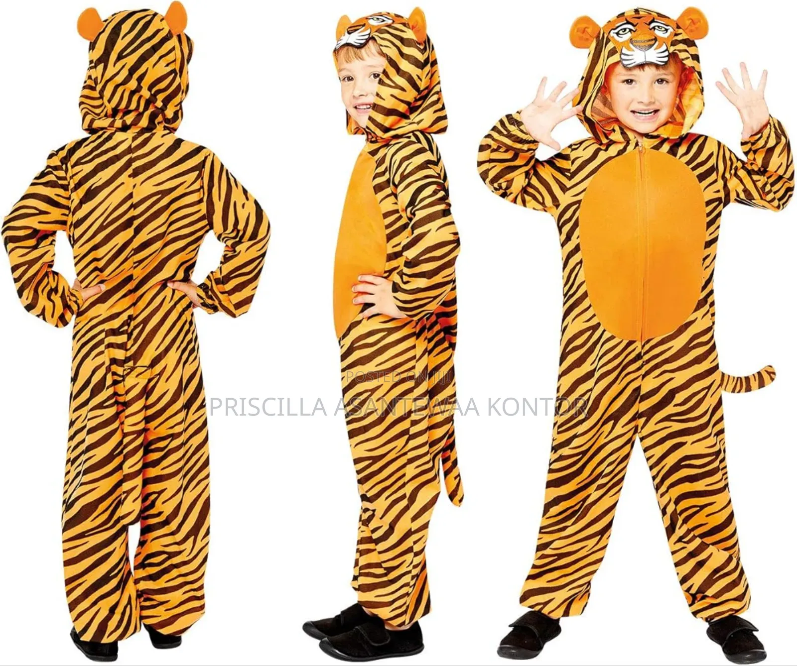 Animal Character Costumes