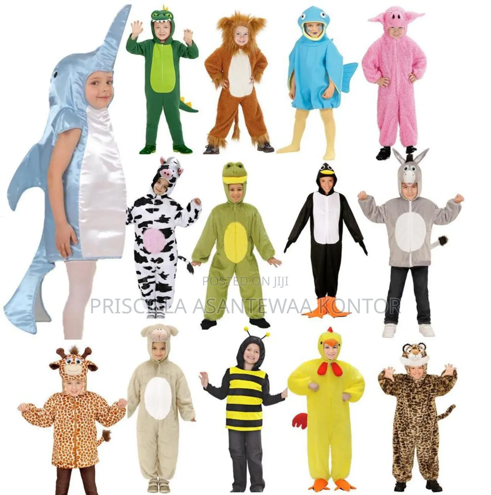 Animal Character Costumes