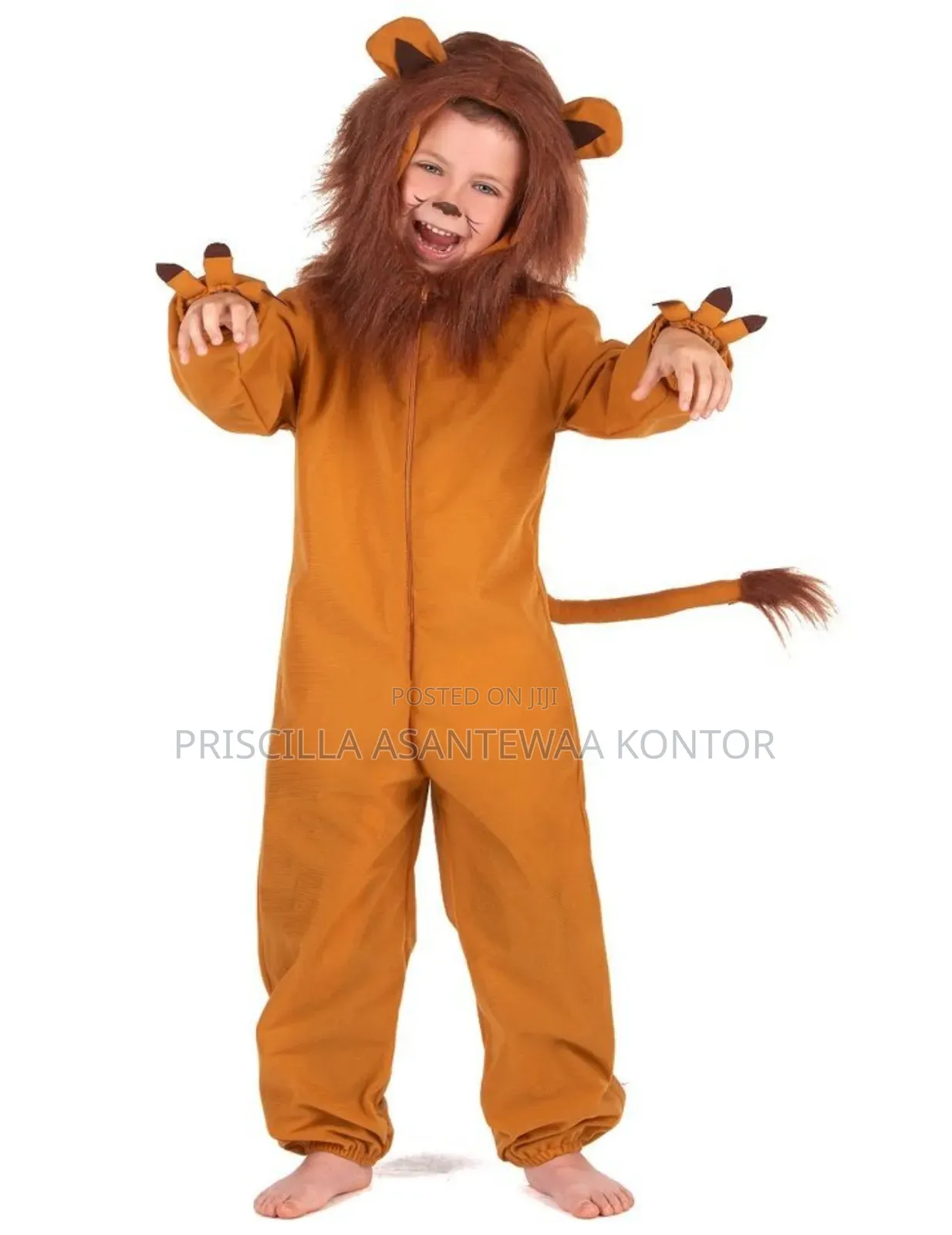 Animal Character Costumes