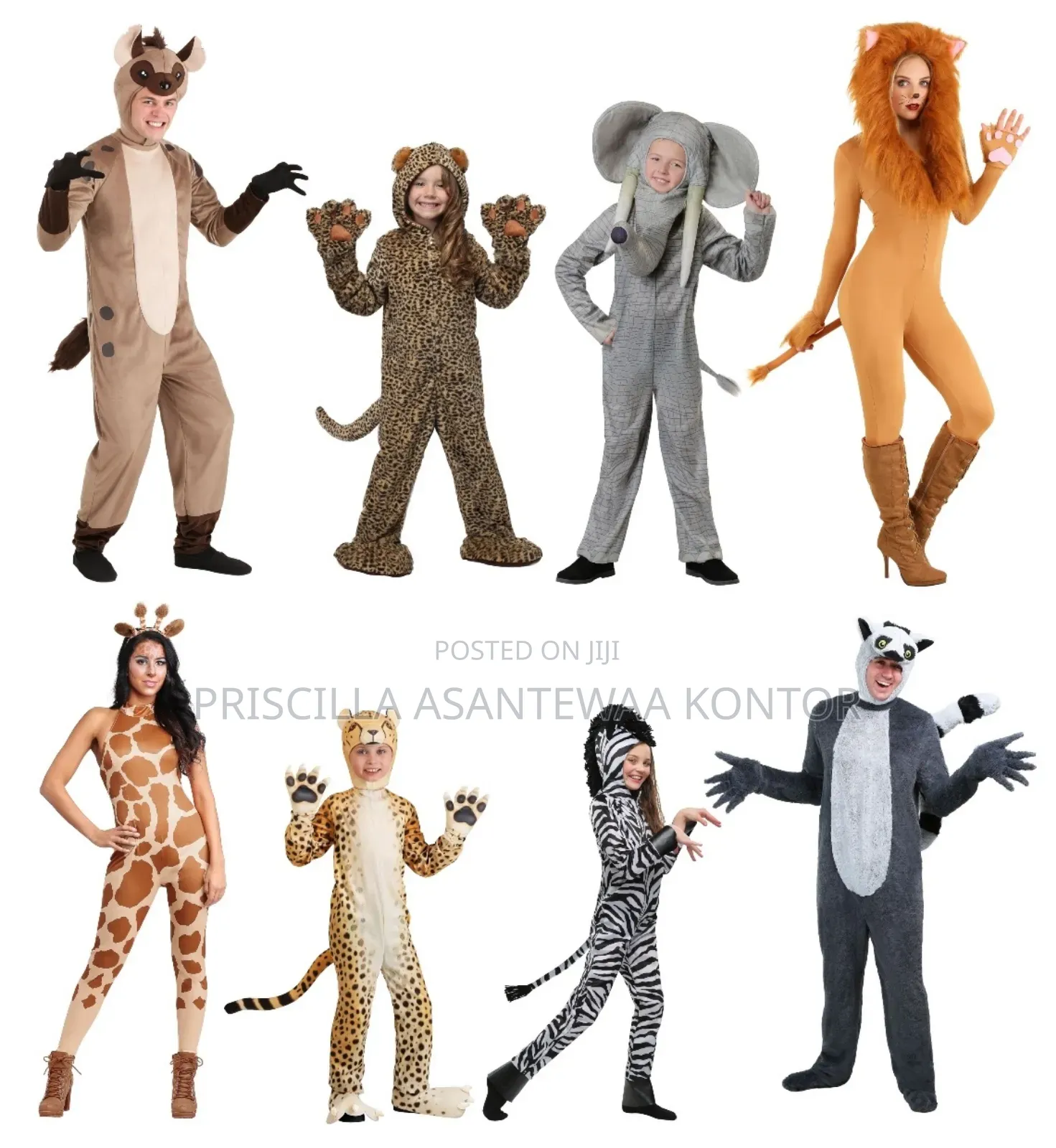 Animal Character Costumes