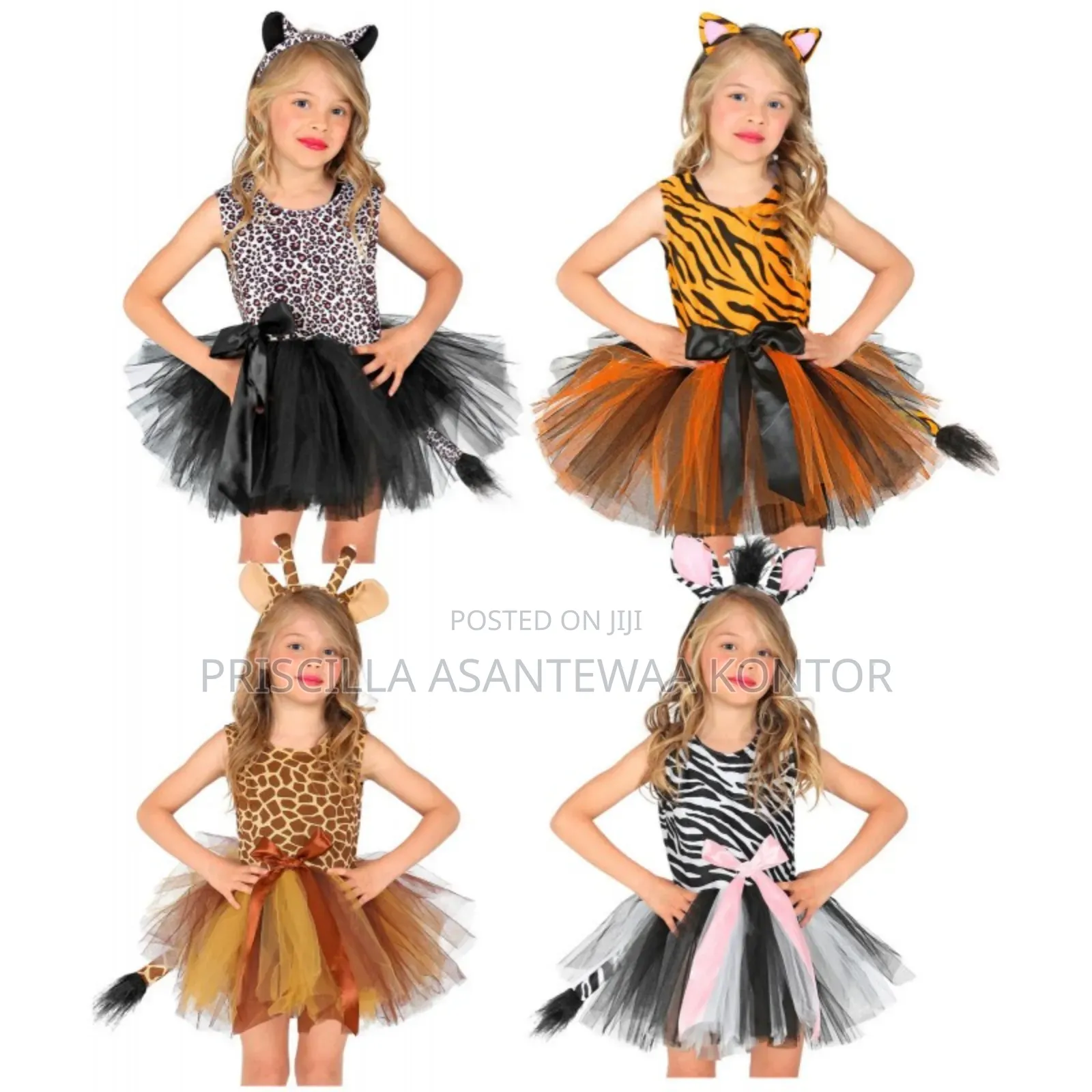 Animal Character Costumes