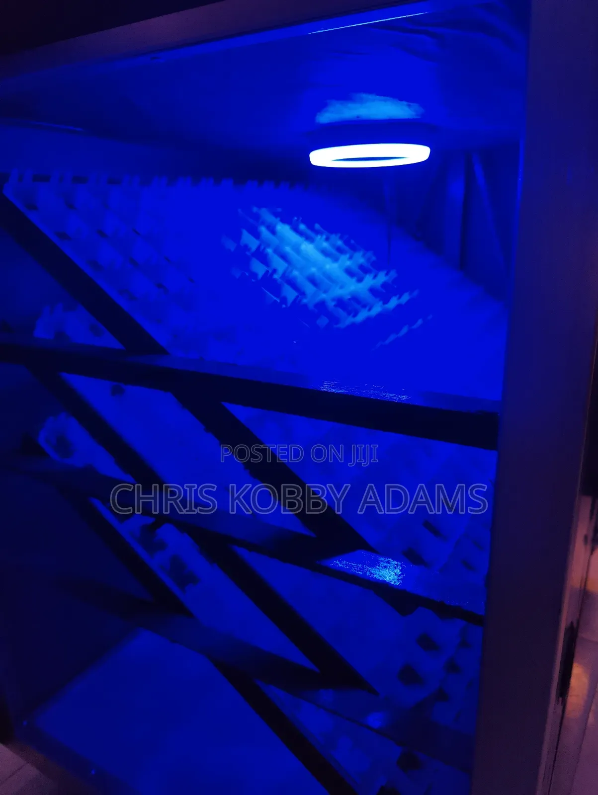 528 Egg Incubator – Fully Automatic, 99% Hatch Rate!