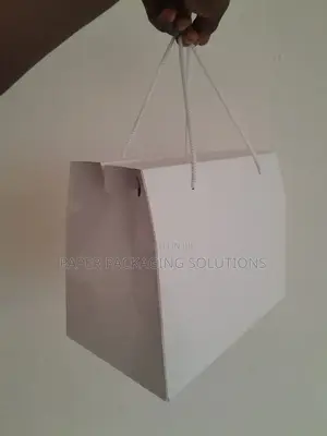 Plain Box Bag