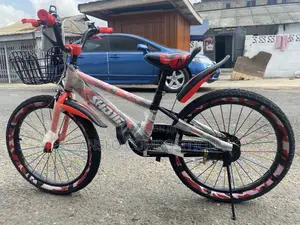 Professional Kids Bike