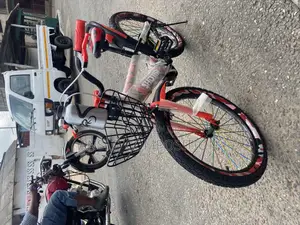 Professional Kids Bike
