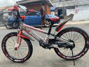 Professional Kids Bike