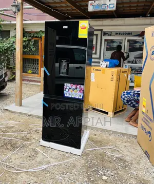 Well Built Pearl Pf —433 BBG ,309l 2 Door Electric Fridge.