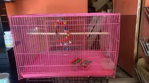 Atlantic Dome Large Parrot Cage