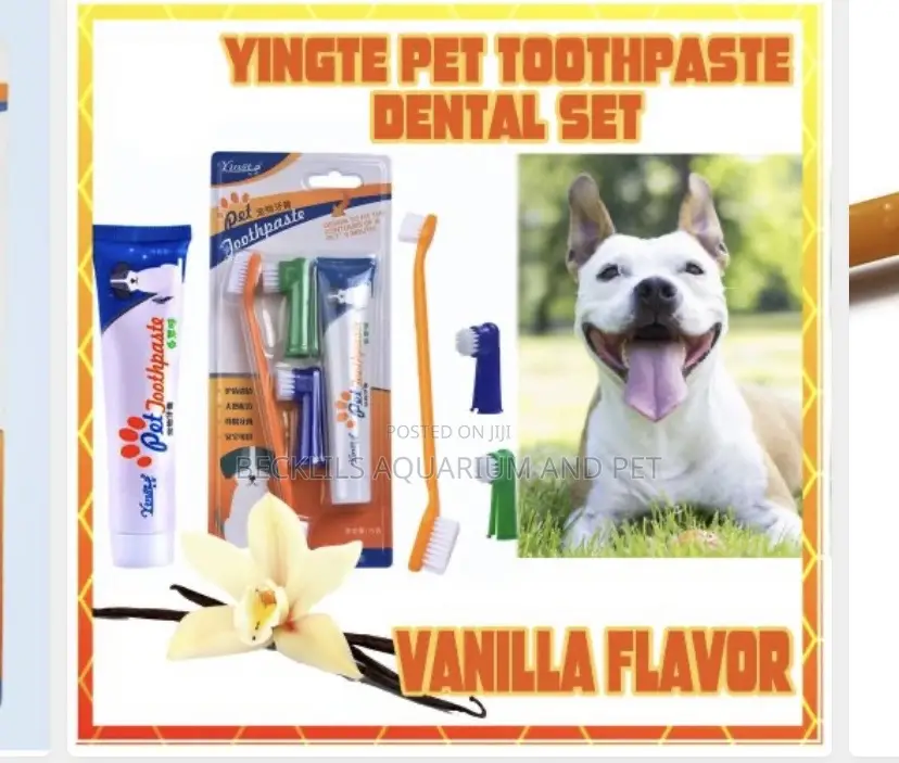 Manchow Dental Care Kit