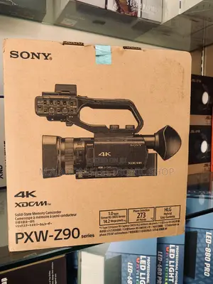 Record Up to Uhd With This Camera Z90