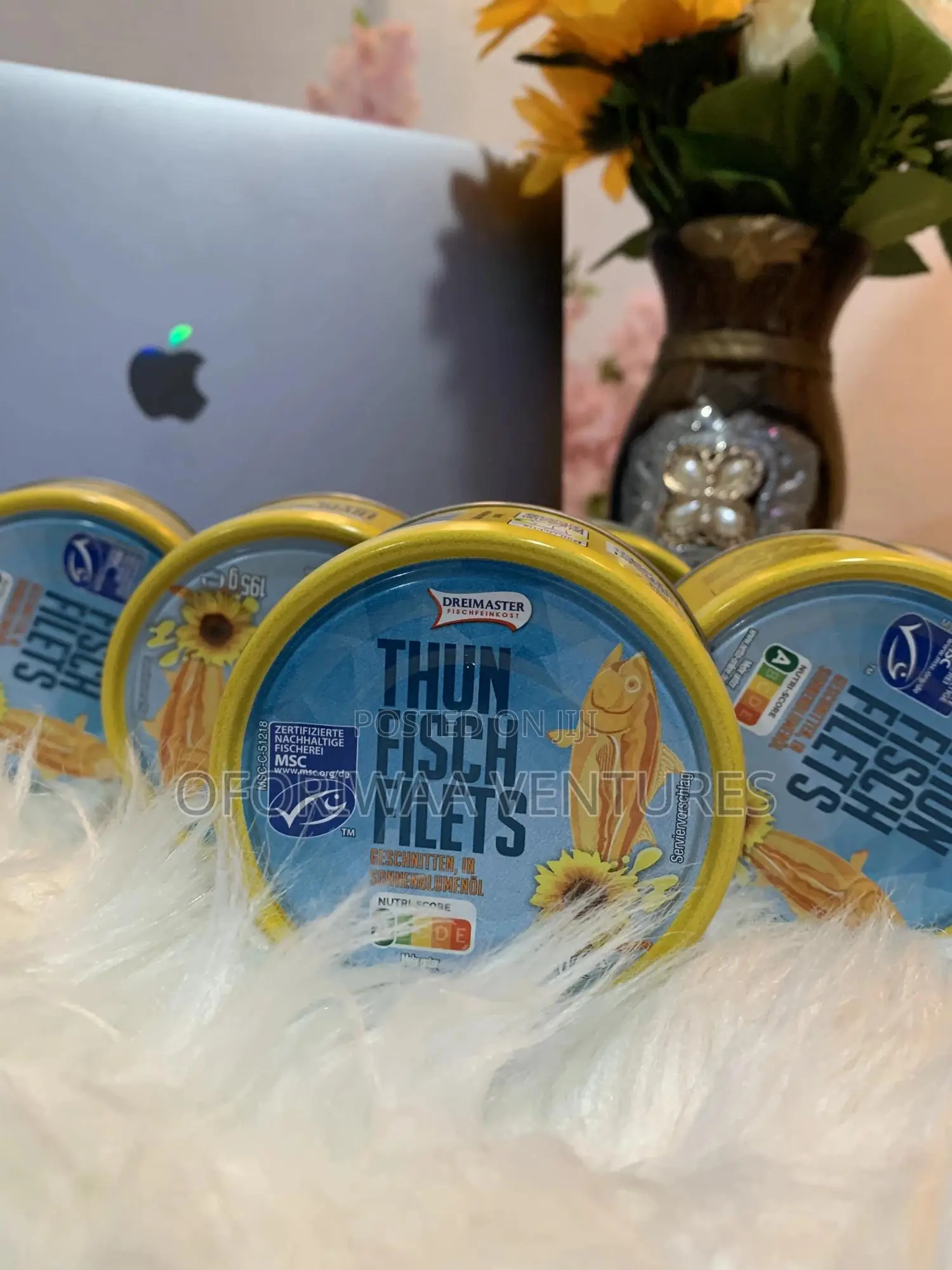 Thun Fisch Filets