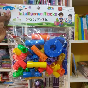 Lego Blocks/Educational Toys