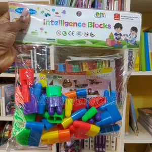 Lego Blocks/Educational Toys