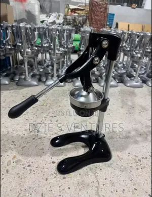 Commercial Orange Juicer