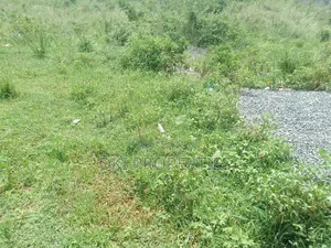 One Acre Roadside Land at Apollonia for Sale