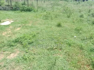 One Acre Roadside Land at Apollonia for Sale