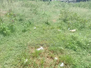 One Acre Roadside Land at Apollonia for Sale