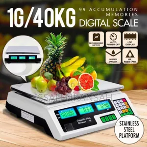 Electronic Scale